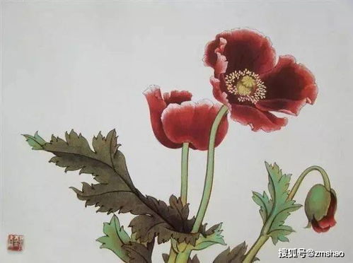 荣宝斋 精品花卉画谱42图 值得珍藏